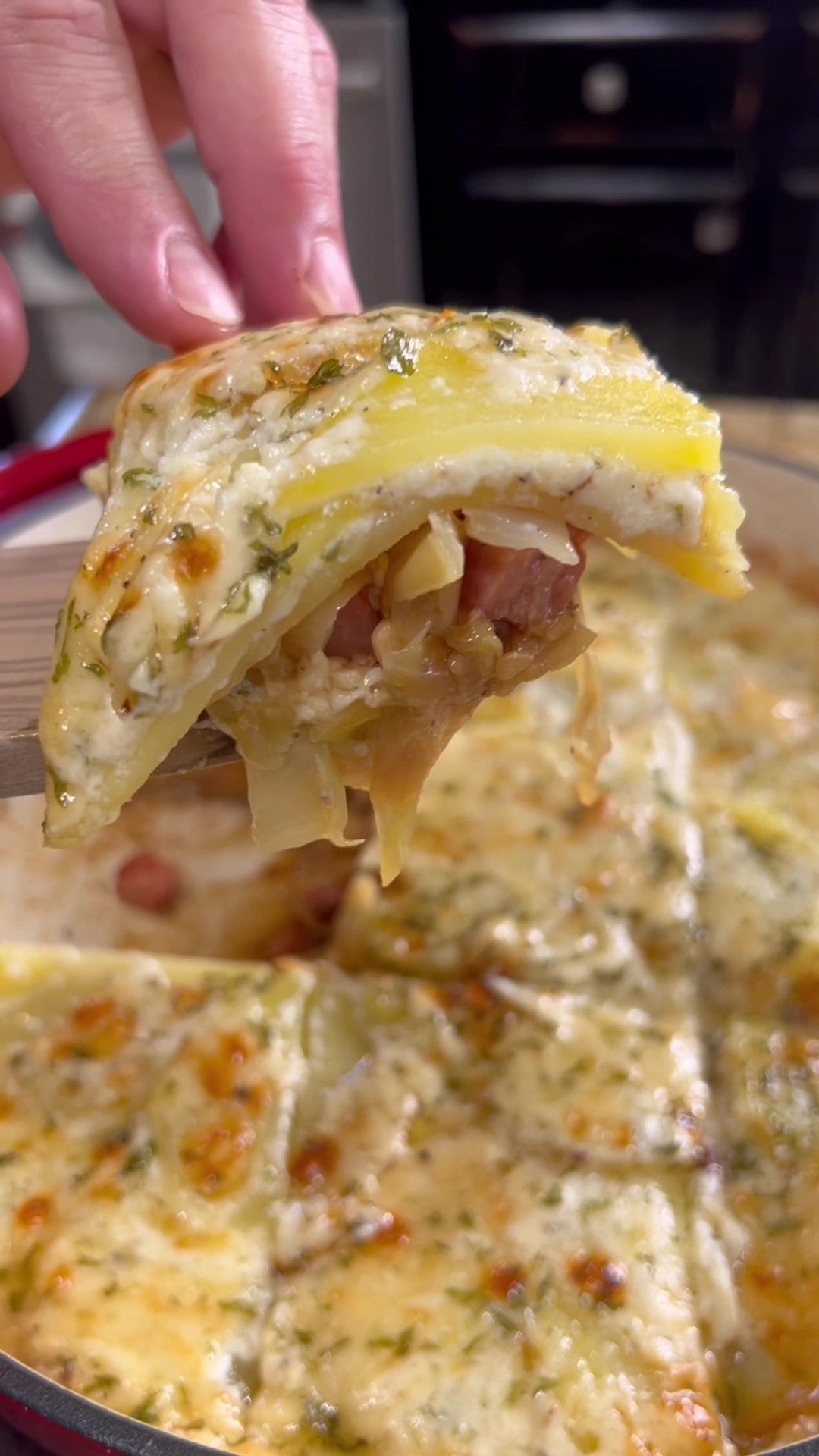 Cabbage and Potato Au Gratin Boudreaux's Backyard